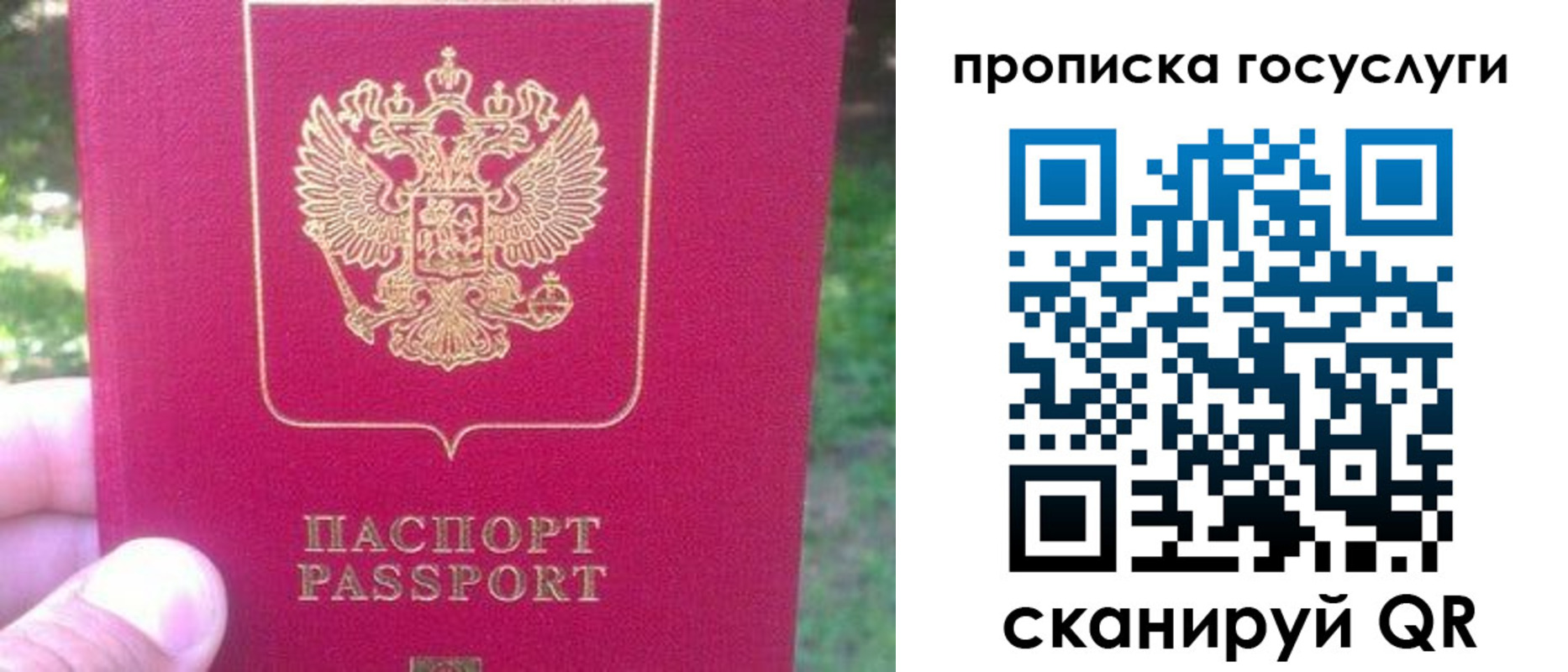 временная регистрация собственник в Кингисеппе